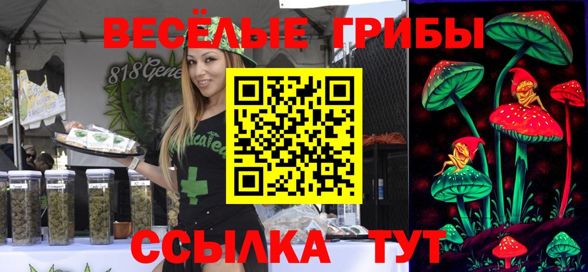 Галлюциногенные грибы прущие грибы Курган