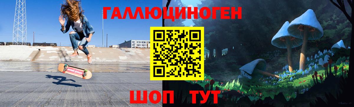 Галлюциногенные грибы Cubensis  Галлюциногенные грибы прущие грибы  Вход с VPN  Курган 